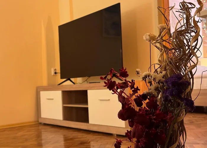 Cozy And Quiet * 소피아